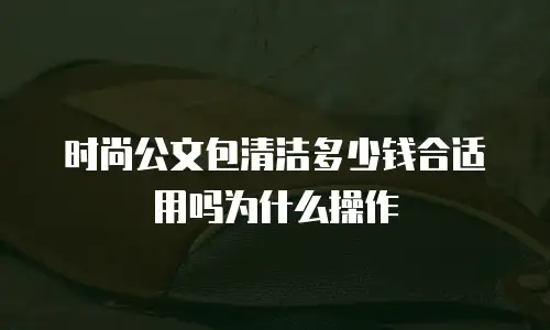 时尚公文包清洁多少钱合适用吗为什么操作