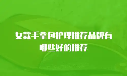 女款手拿包护理推荐品牌有哪些好的推荐