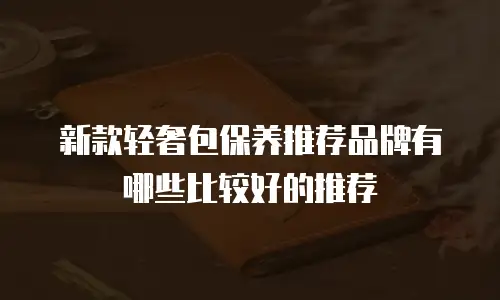 新款轻奢包保养推荐品牌有哪些比较好的推荐