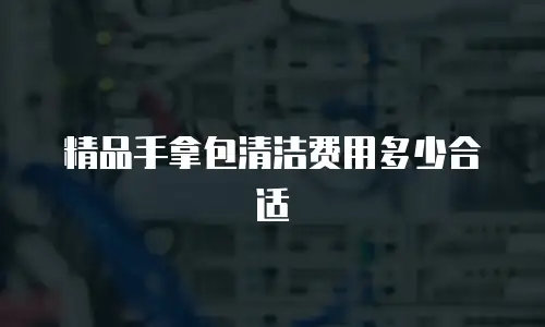 精品手拿包清洁费用多少合适
