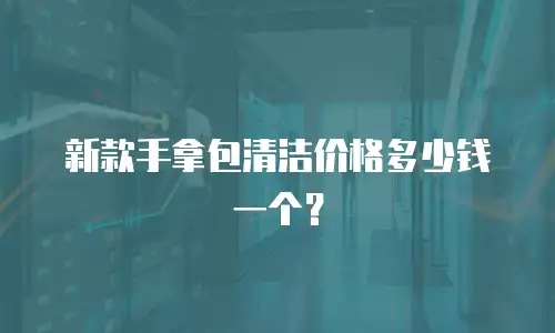 新款手拿包清洁价格多少钱一个？