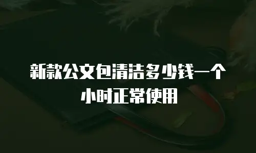 新款公文包清洁多少钱一个小时正常使用