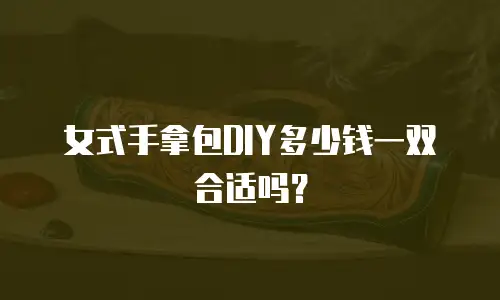 女式手拿包DIY多少钱一双合适吗？