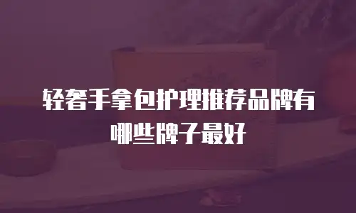 轻奢手拿包护理推荐品牌有哪些牌子最好