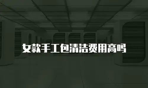 女款手工包清洁费用高吗
