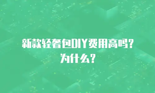 新款轻奢包DIY费用高吗？为什么？