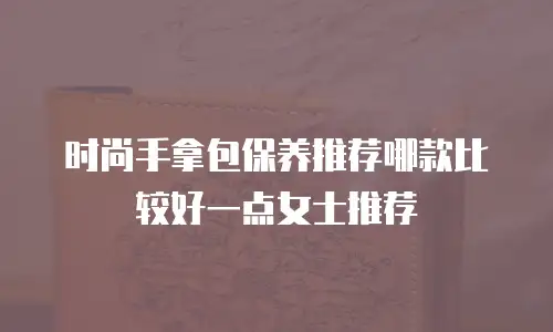 时尚手拿包保养推荐哪款比较好一点女士推荐