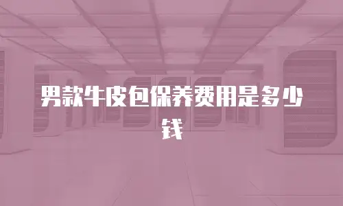 男款牛皮包保养费用是多少钱