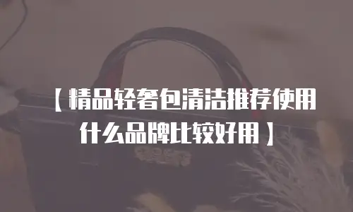 【精品轻奢包清洁推荐使用什么品牌比较好用】