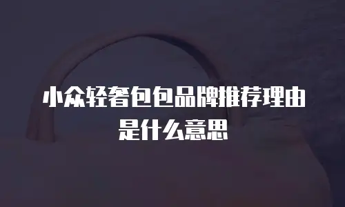 小众轻奢包包品牌推荐理由是什么意思