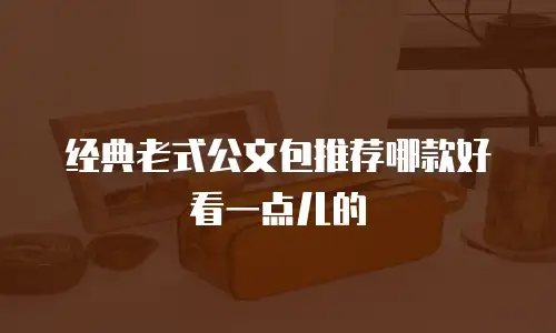 经典老式公文包推荐哪款好看一点儿的