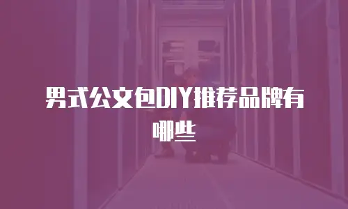 男式公文包DIY推荐品牌有哪些