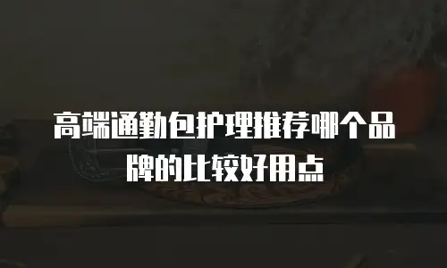 高端通勤包护理推荐哪个品牌的比较好用点