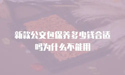 新款公文包保养多少钱合适吗为什么不能用