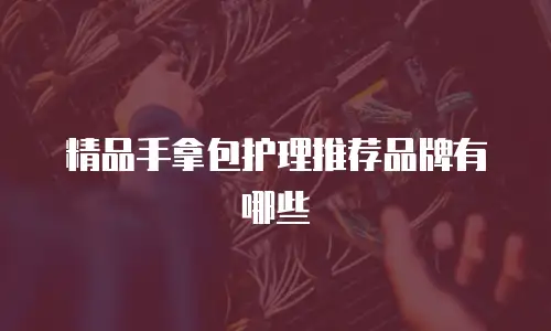 精品手拿包护理推荐品牌有哪些