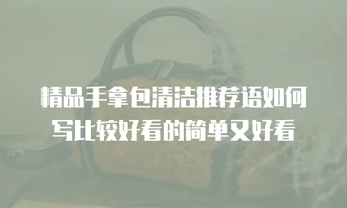 精品手拿包清洁推荐语如何写比较好看的简单又好看