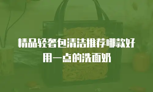 精品轻奢包清洁推荐哪款好用一点的洗面奶