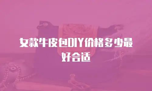 女款牛皮包DIY价格多少最好合适