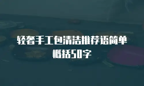 轻奢手工包清洁推荐语简单概括50字