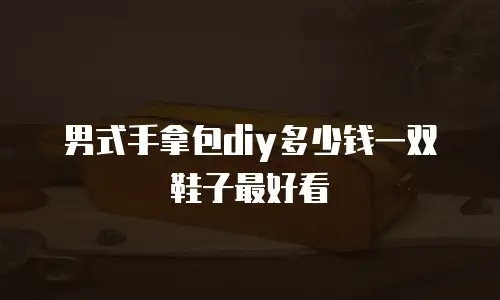 男式手拿包diy多少钱一双鞋子最好看