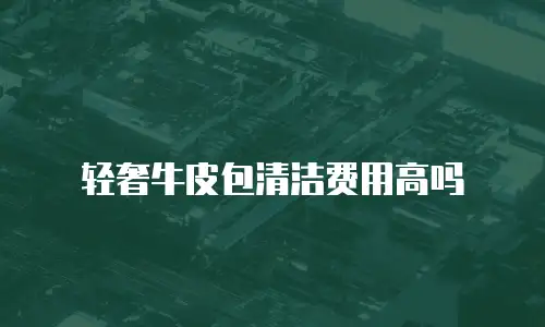 轻奢牛皮包清洁费用高吗
