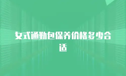 女式通勤包保养价格多少合适