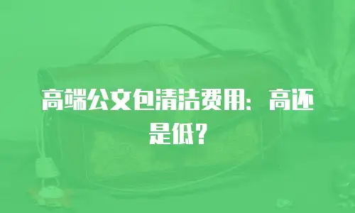 高端公文包清洁费用：高还是低？