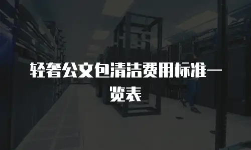 轻奢公文包清洁费用标准一览表