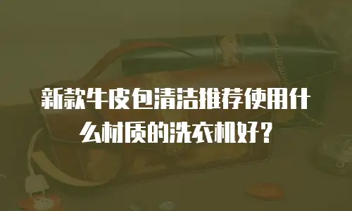 新款牛皮包清洁推荐使用什么材质的洗衣机好？