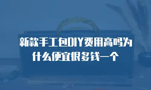 新款手工包DIY费用高吗为什么便宜很多钱一个