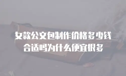 女款公文包制作价格多少钱合适吗为什么便宜很多