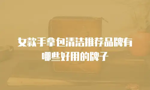 女款手拿包清洁推荐品牌有哪些好用的牌子