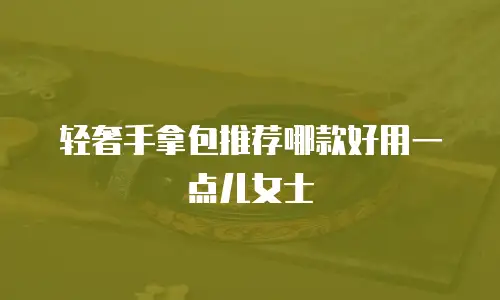 轻奢手拿包推荐哪款好用一点儿女士