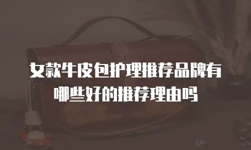 女款牛皮包护理推荐品牌有哪些好的推荐理由吗
