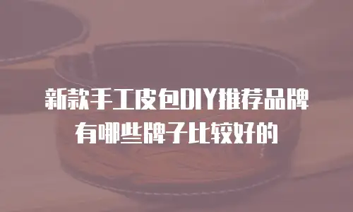 新款手工皮包DIY推荐品牌有哪些牌子比较好的