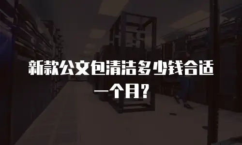 新款公文包清洁多少钱合适一个月？