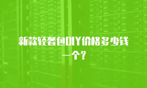 新款轻奢包DIY价格多少钱一个？