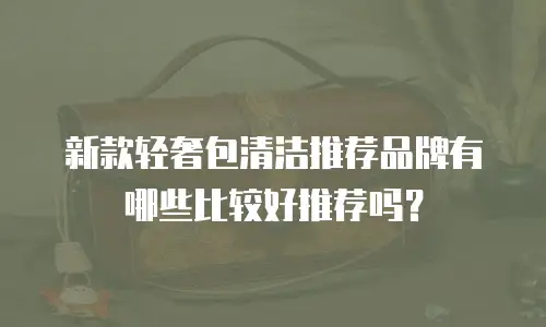 新款轻奢包清洁推荐品牌有哪些比较好推荐吗？