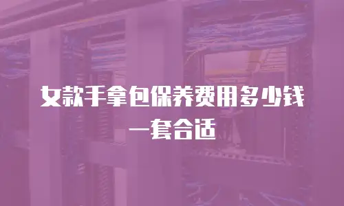 女款手拿包保养费用多少钱一套合适