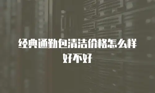 经典通勤包清洁价格怎么样好不好