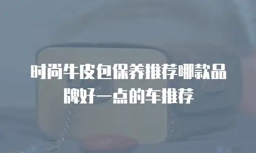 时尚牛皮包保养推荐哪款品牌好一点的车推荐