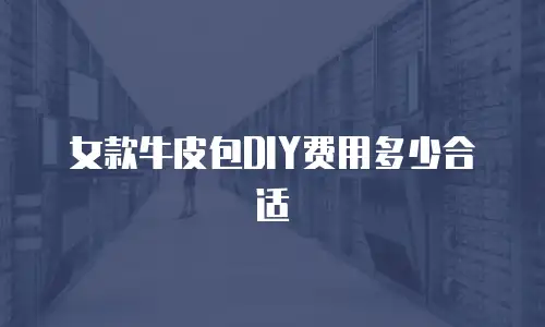 女款牛皮包DIY费用多少合适