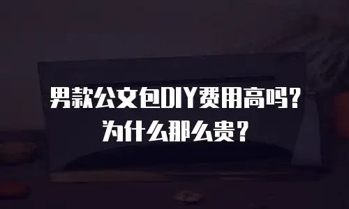 男款公文包DIY费用高吗？为什么那么贵？