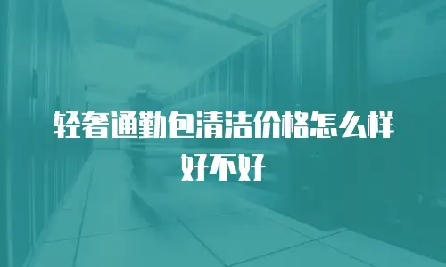 轻奢通勤包清洁价格怎么样好不好