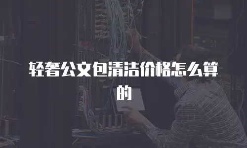 轻奢公文包清洁价格怎么算的