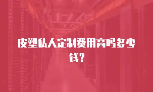 皮塑私人定制费用高吗多少钱？