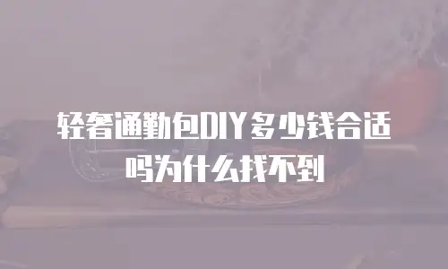 轻奢通勤包DIY多少钱合适吗为什么找不到