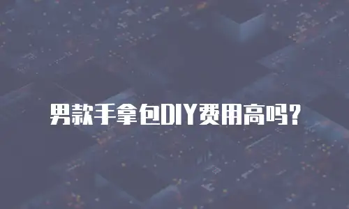 男款手拿包DIY费用高吗？