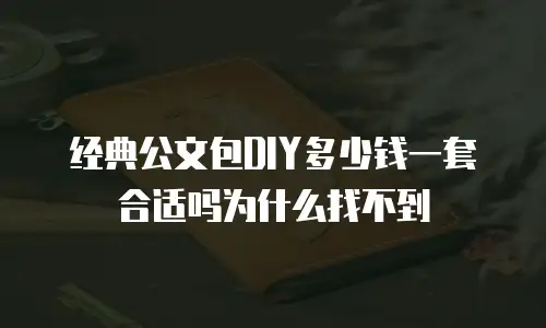 经典公文包DIY多少钱一套合适吗为什么找不到