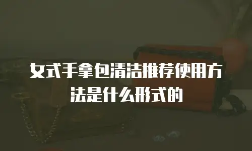 女式手拿包清洁推荐使用方法是什么形式的
